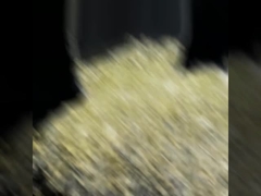 সিপিপি ৩